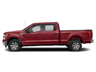 2021 Ford F-150 XLT 301A