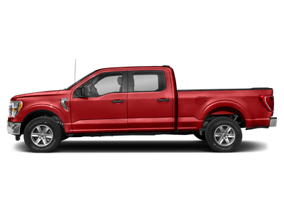 2023 Ford F-150 XLT 302A Sport