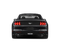 2019 Ford Mustang EcoBoost 100A