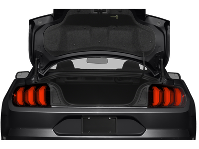 2019 Ford Mustang EcoBoost 100A