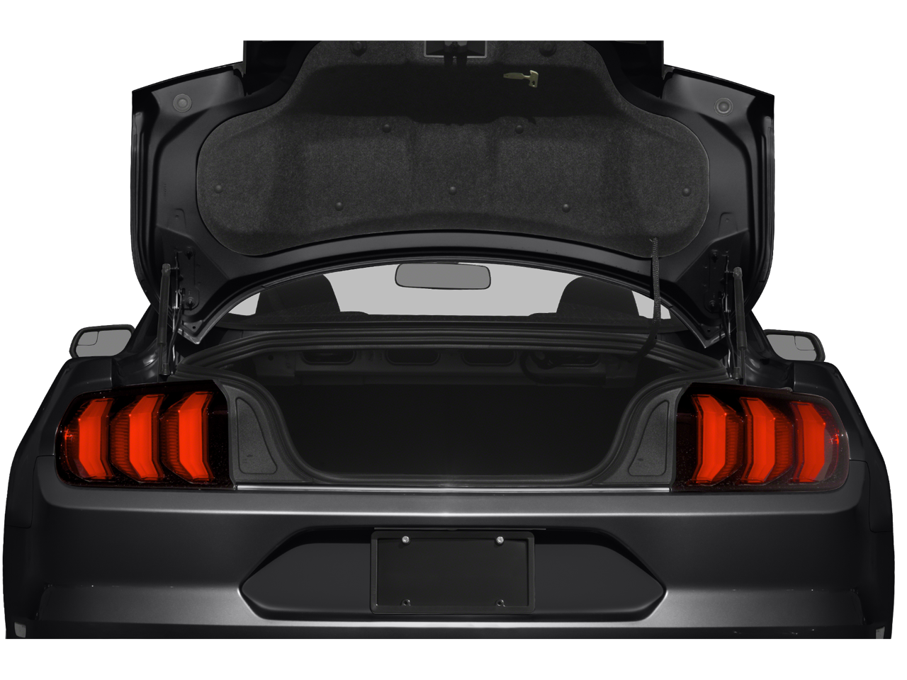 2019 Ford Mustang EcoBoost 100A