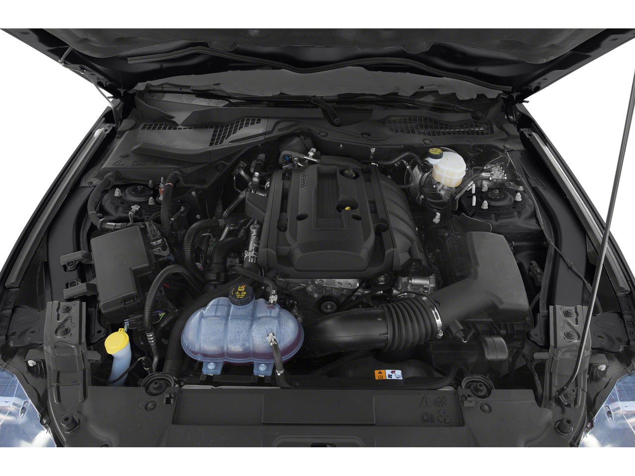 2019 Ford Mustang EcoBoost 100A