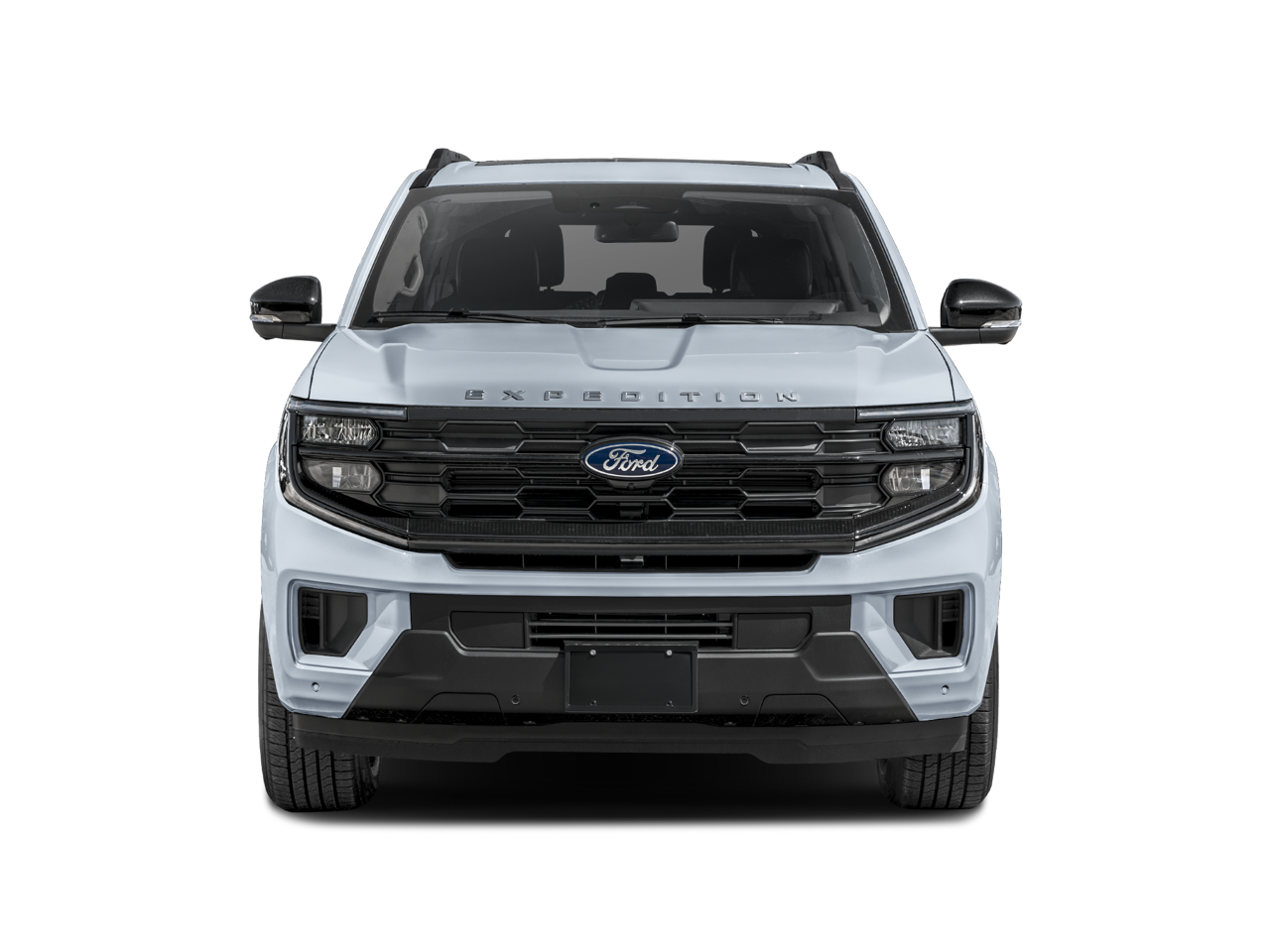 2025 Ford Expedition Active 202A