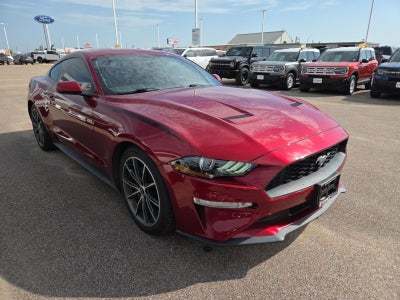 2019 Ford Mustang EcoBoost 100A