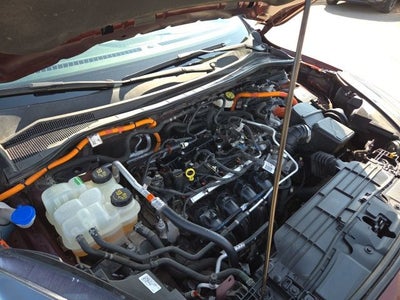 2021 Ford Escape Hybrid SEL 303A