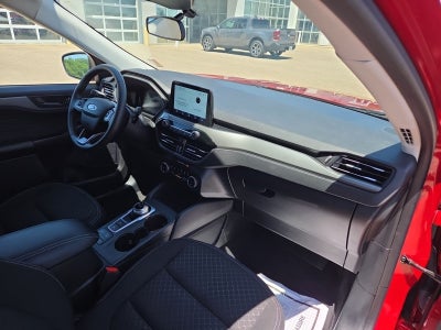 2023 Ford Escape Active 200A