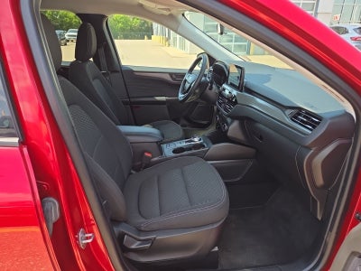 2023 Ford Escape Active 200A