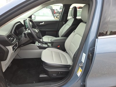 2025 Ford Escape Hybrid Platinum 600A