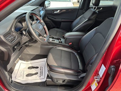 2024 Ford Escape ST-Line Elite 501A