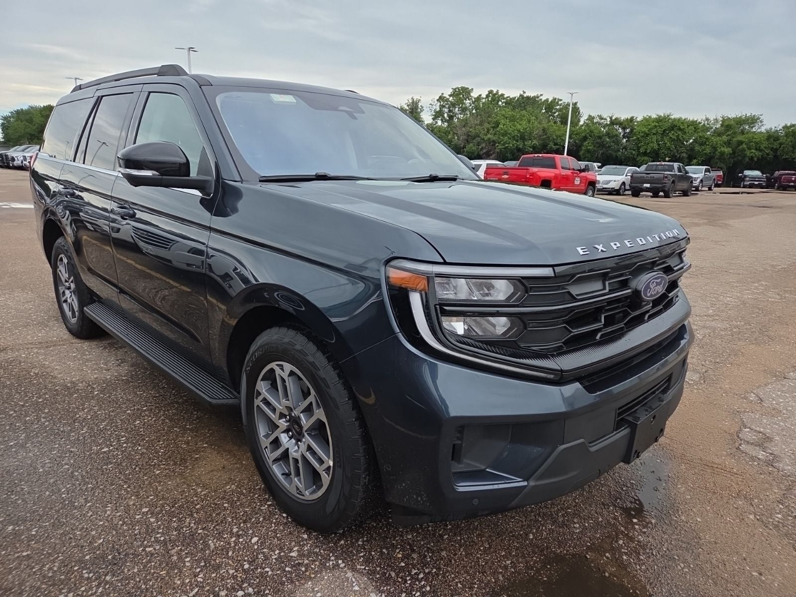2025 Ford Expedition Active 202A