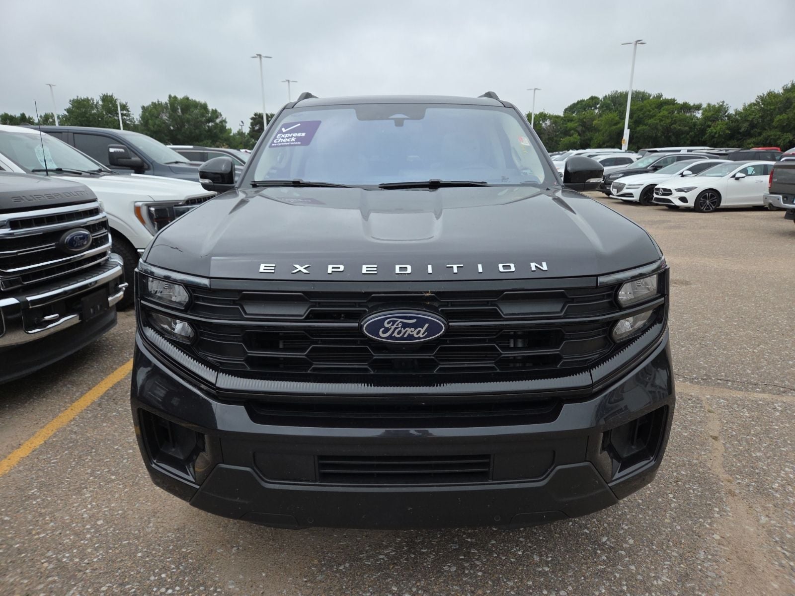 2025 Ford Expedition Active 202A
