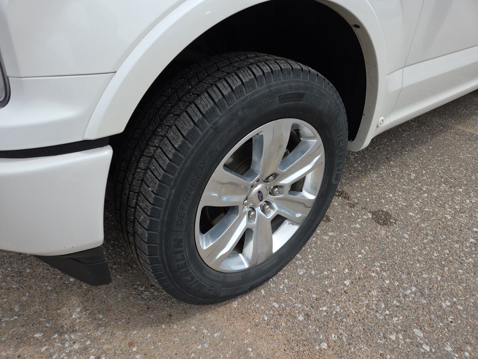 2019 Ford F-150 Platinum FX4 701A