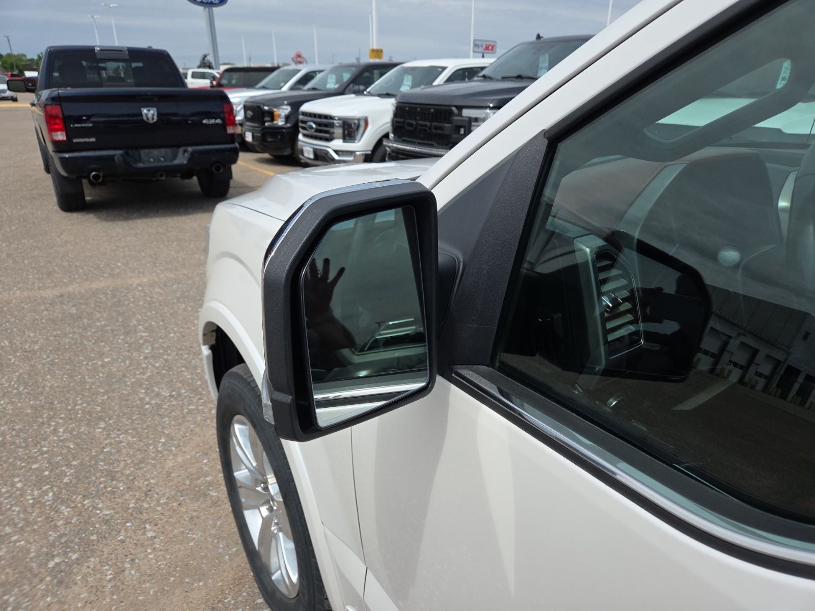 2019 Ford F-150 Platinum FX4 701A
