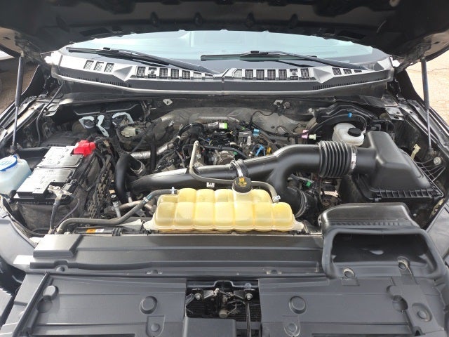 2019 Ford F-150 XL STX 101A