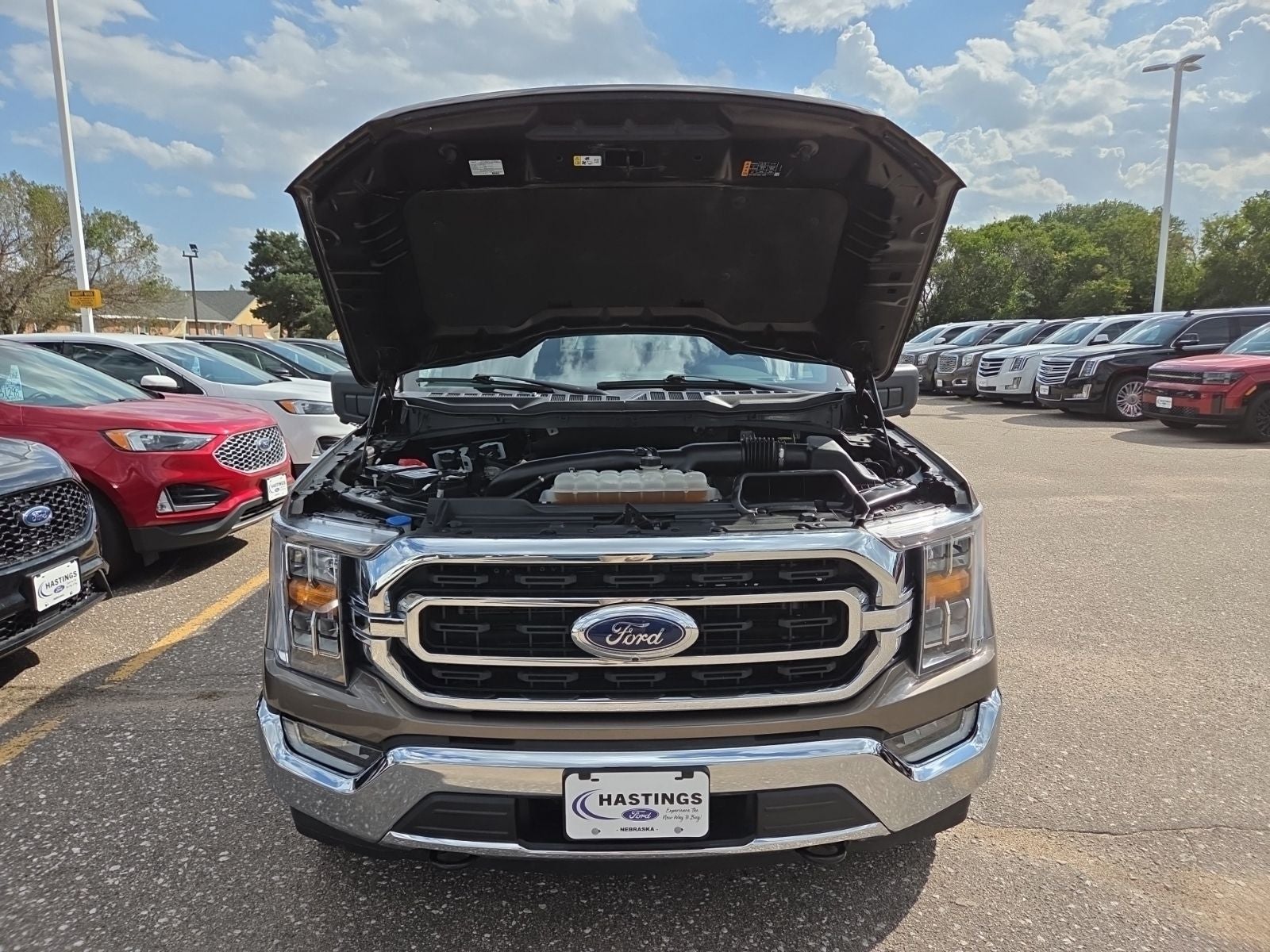 2023 Ford F-150 XLT 302A