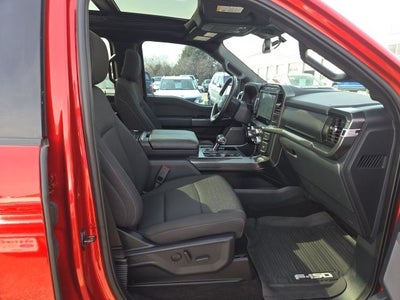 2023 Ford F-150 XLT 302A Sport