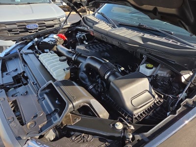 2023 Ford F-150 XLT Sport 302A