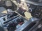 2023 Ford F-150 XLT Sport 302A