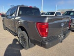 2023 Ford F-150 XLT Sport 302A