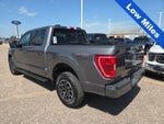 2023 Ford F-150 XLT Sport 302A