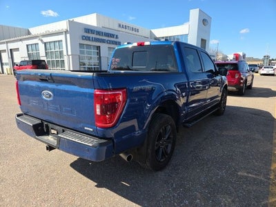 2023 Ford F-150 XLT Sport 302A