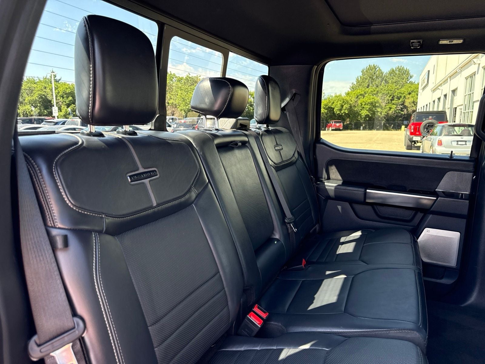 2023 Ford F-150 Platinum Black 701A