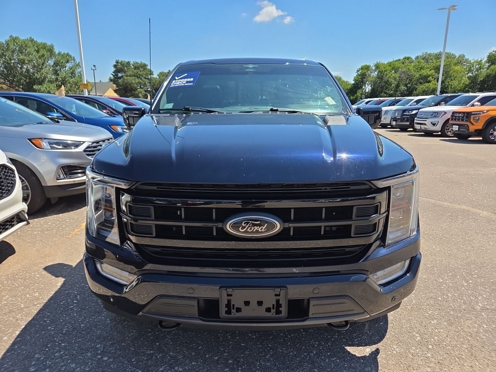 2023 Ford F-150 Platinum Black 701A
