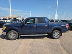 2010 Ford F-150 XLT 507A
