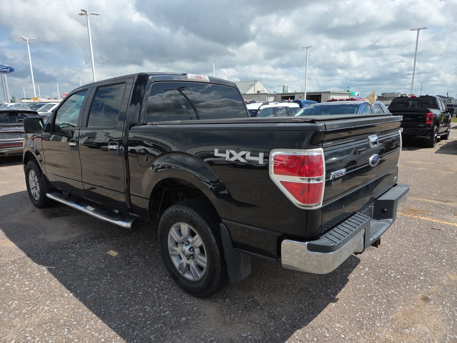 2010 Ford F-150 XLT 507A