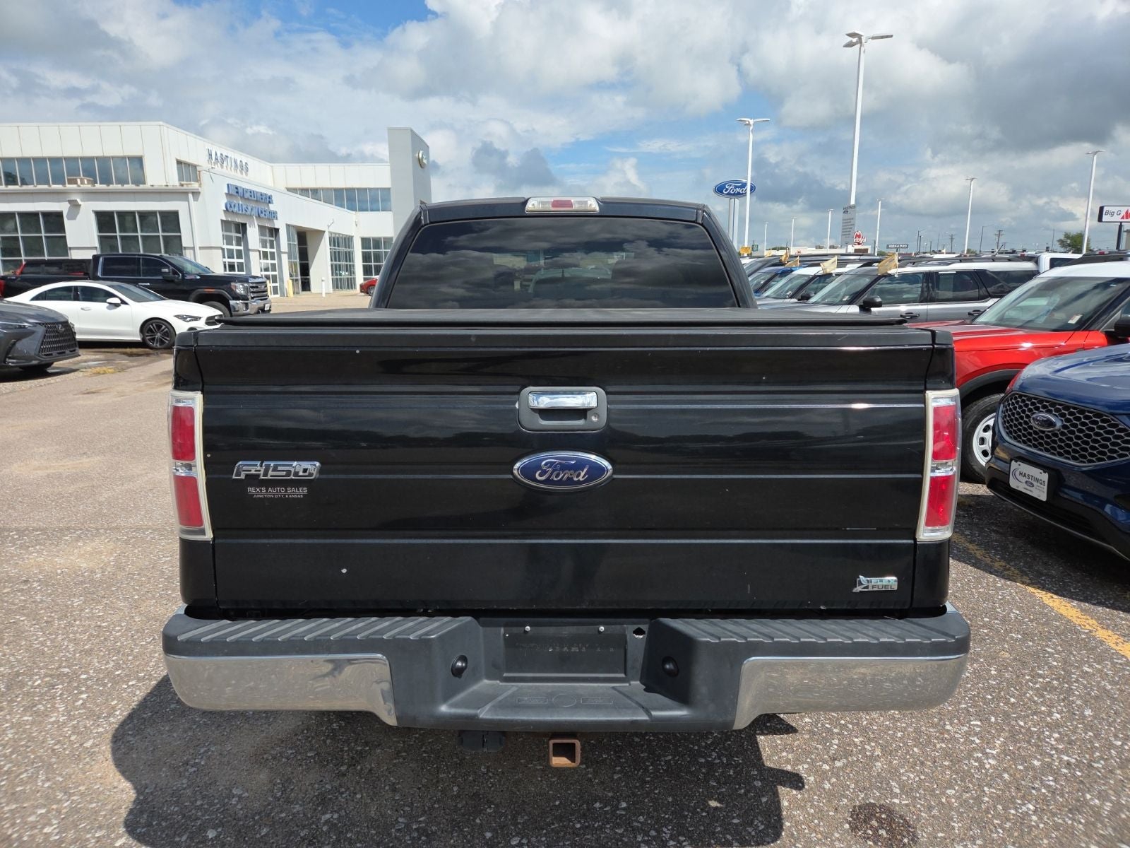 2010 Ford F-150 XLT 507A