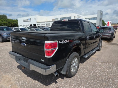 2010 Ford F-150 XLT 507A