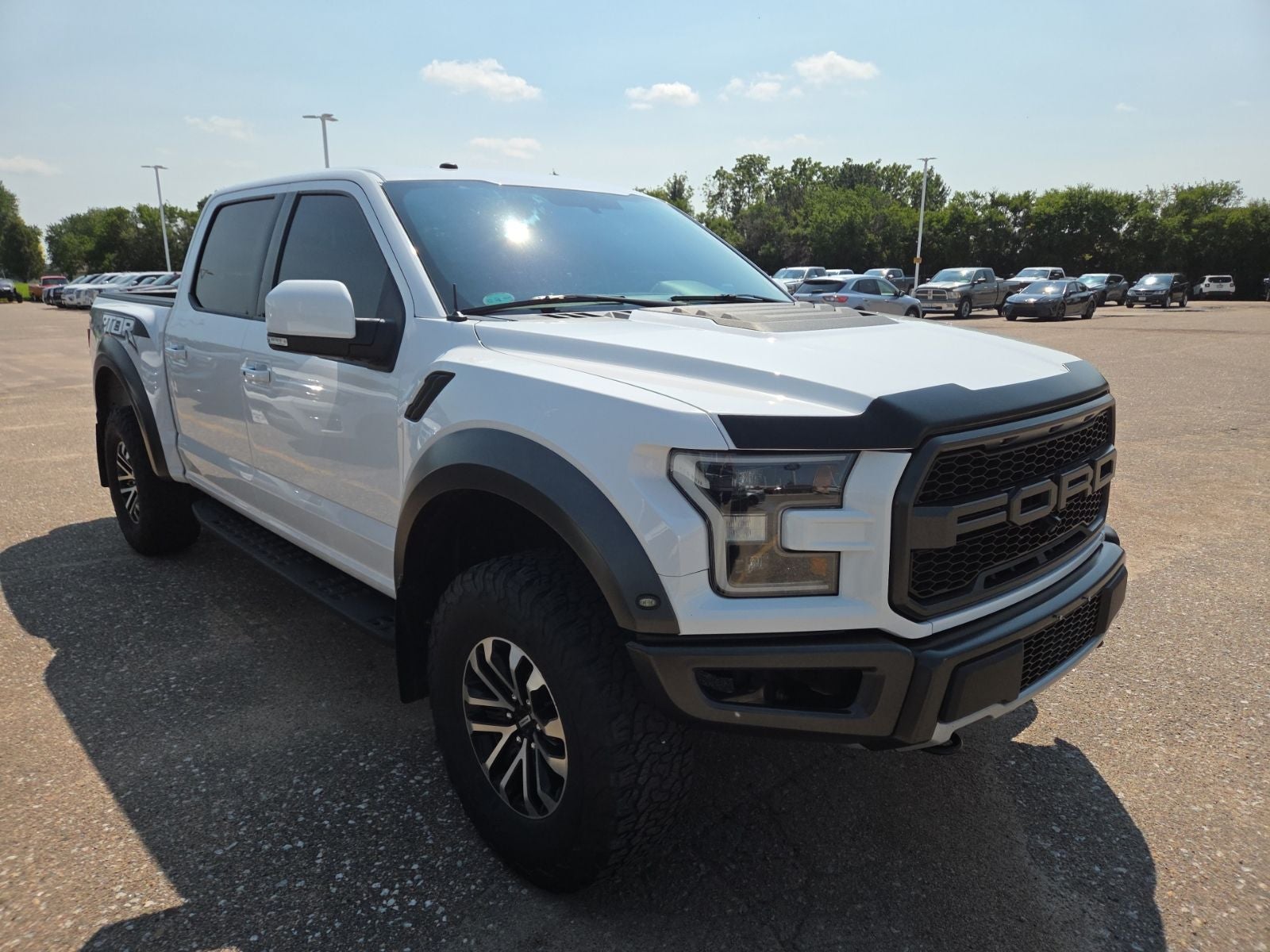 2018 Ford F-150 Raptor 802A