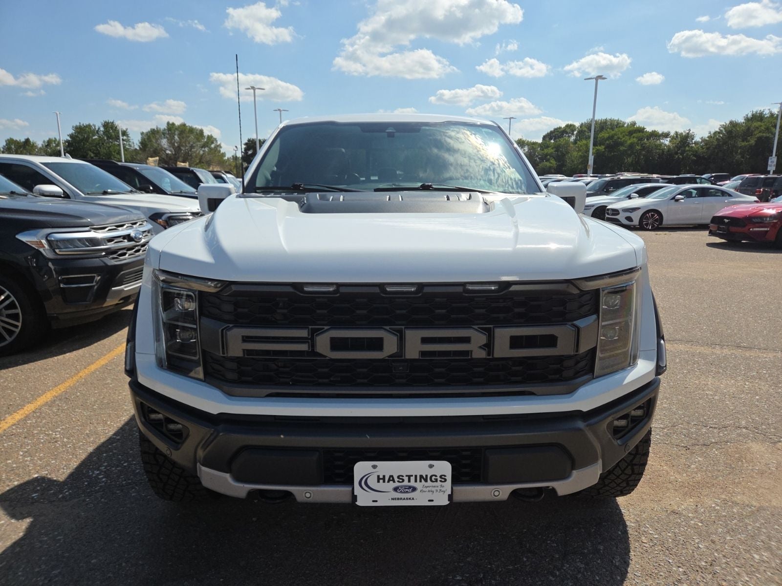 2022 Ford F-150 Raptor 801A